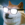 Mr.Doge