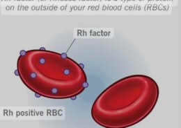 What is Rh factor and how does it classify the blood group?