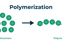 What is Polymerization?