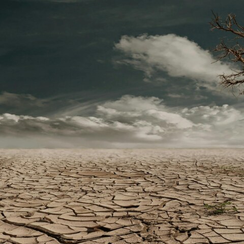 How long do we have to survive the upcoming climate change crisis.