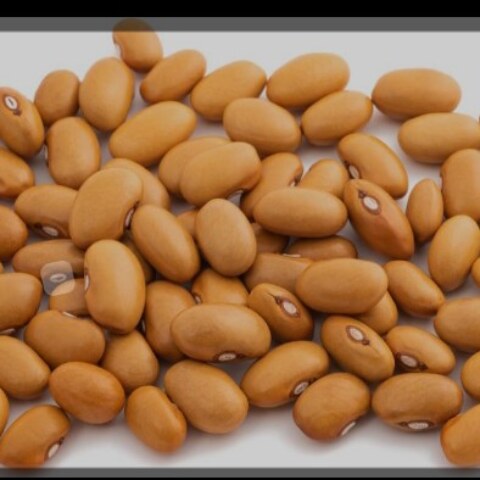Name of this bean.