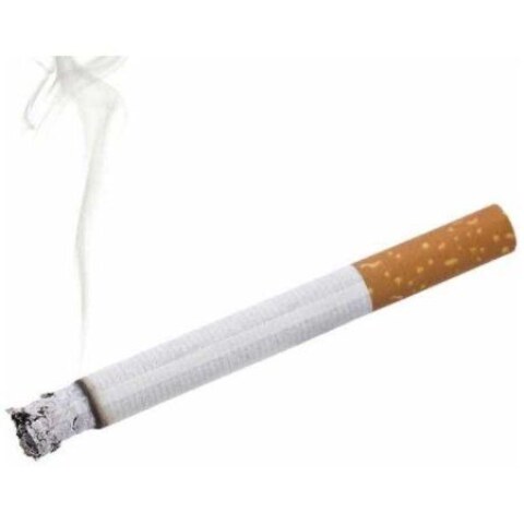 What are the ill effects of smoking on human body ?