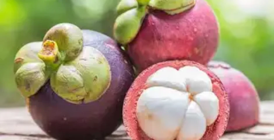 What is Thailand's national fruit?