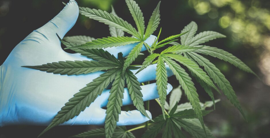 the most effective strategies for combating opioid addiction and overdose?