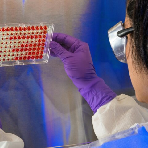 What advancements are being made in personalized medicine and genetic testing?