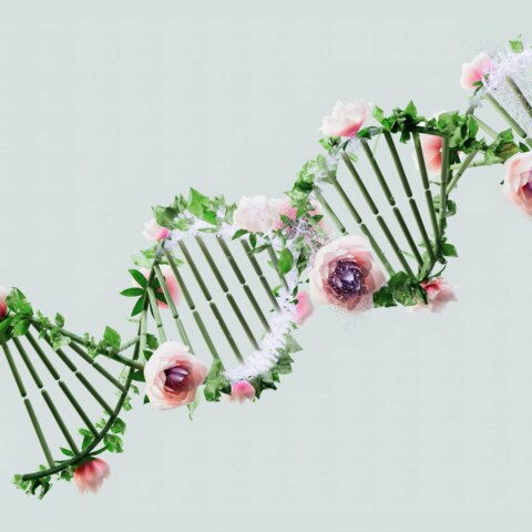 How can advancements in genomics impact personalized medicine in the treatment of cancer?