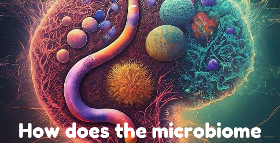 Microbiome and Mental Health: