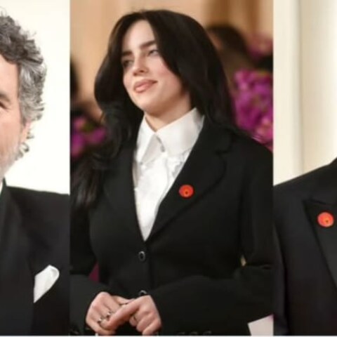 Why  were several celebrities seen wearing this red laple pin in this year's Oscar ceremony?