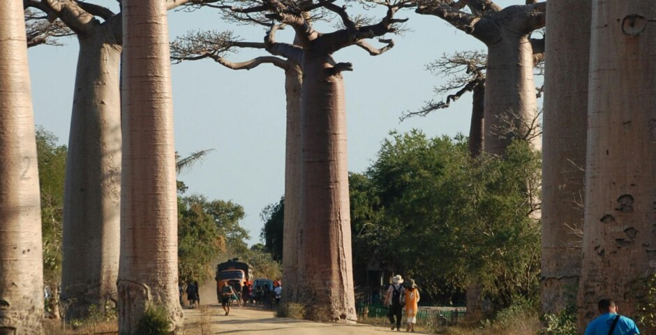 What are some lesser-known ecological and geological features of Madagascar island, such as its diverse landscapes, unique ecosystems, and endemic species, and how do these factors contribute to its status as a biodiversity hotspot?
