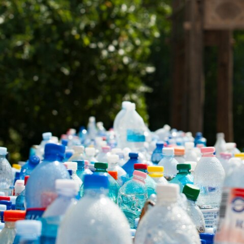 What are some lesser-known pathways through which microplastics enter the human body, such as inhalation, ingestion, and dermal absorption, and how do these routes contribute to the accumulation of microplastics in various tissues and organs?