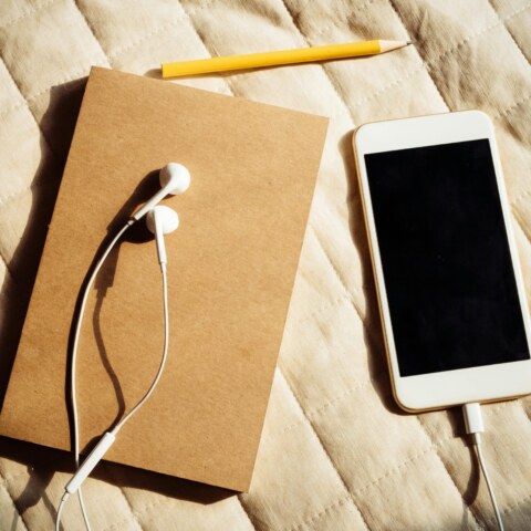 What are some lesser-known physiological effects of prolonged earphone use on the auditory system, such as auditory fatigue, temporary threshold shifts, and long-term hearing loss, and how do these impacts vary depending on factors such as volume levels, duration of use, and individual susceptibility?
