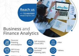 How does Business and Finance Analytics contribute to strategic decision-making and financial performance improvement within organizations?