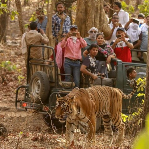 where is the first national park of India and when it is founded?