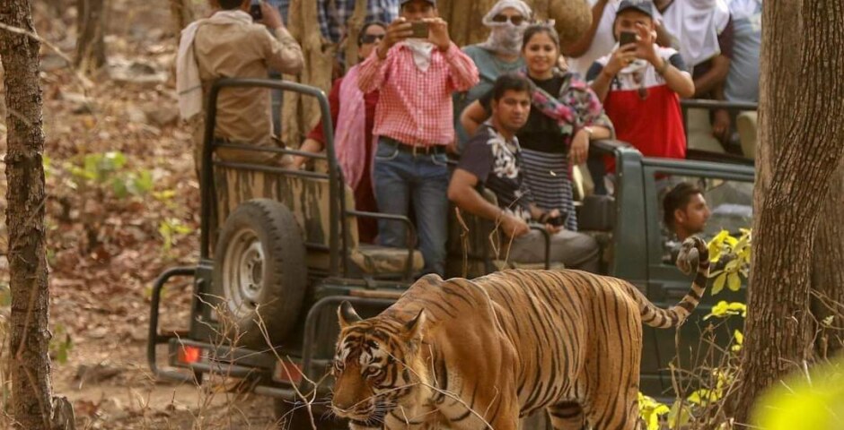 where is the first national park of India and when it is founded?