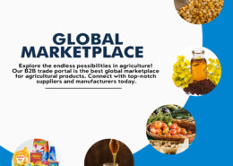 What does B2B stand for?