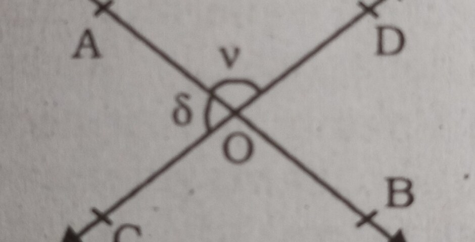 In the given figure, straight lines AB and CD intersect at O. If ∠δ = 3∠v, then ∠v =?