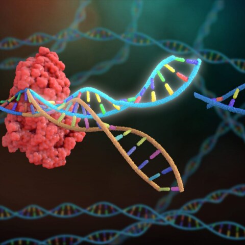 What are CRISPR-Cas9 and its potential applications in biotechnology?