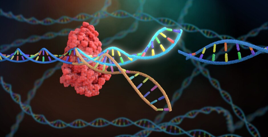 What are CRISPR-Cas9 and its potential applications in biotechnology?