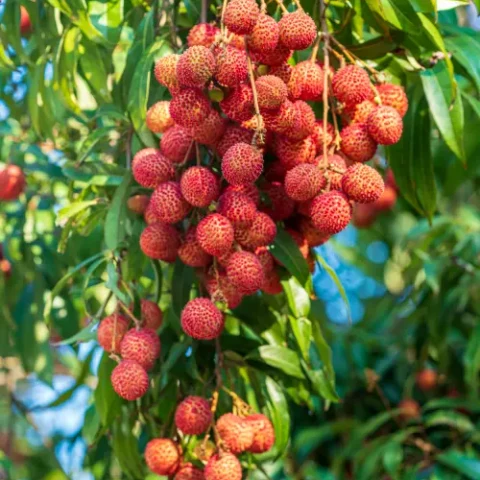 What is this called?