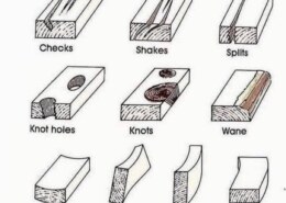 What are the defects in Timber due to Natural Forces?