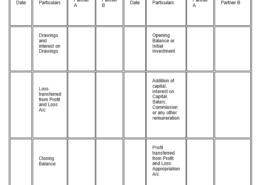 Format of Fluctuating Capital Account?