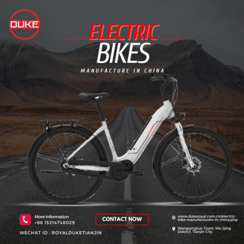 Why is DukeRoyal regarded as one of China's leading producers of electric bikes?