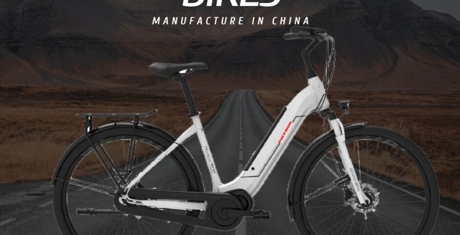 Why is DukeRoyal regarded as one of China's leading producers of electric bikes?