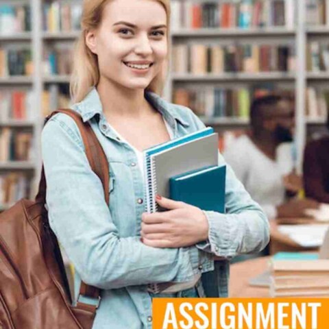 What are the benefits of seeking marketing assignment help for students?