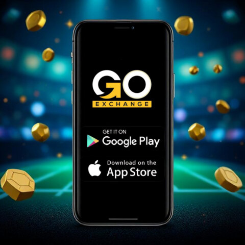 Do you like Online Gaming platform?