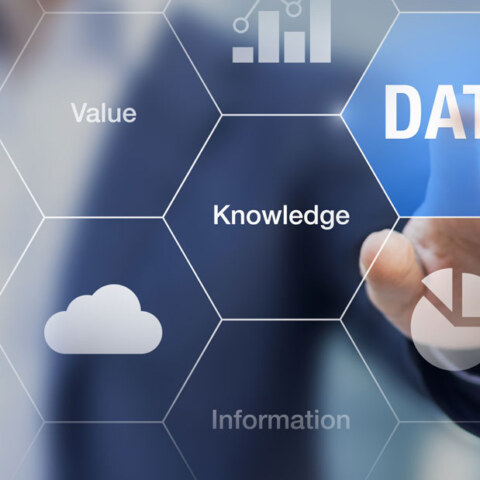 How do data analytics help modern businesses grow?