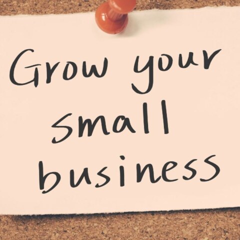 Why are so many small business owners turning to small finance banks for MSME loans?