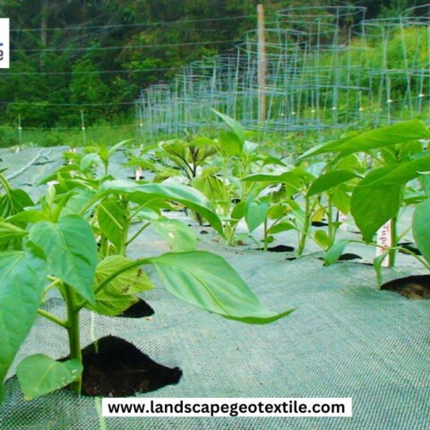 Where can I find EPDM pond liner for sale?