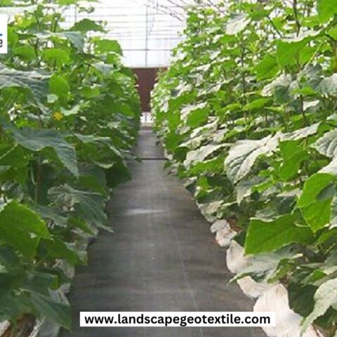 What’s the best weed barrier fabric under mulch for vegetable gardens?