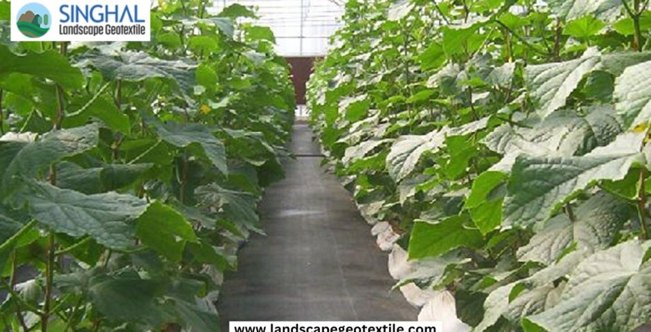 What’s the best weed barrier fabric under mulch for vegetable gardens?