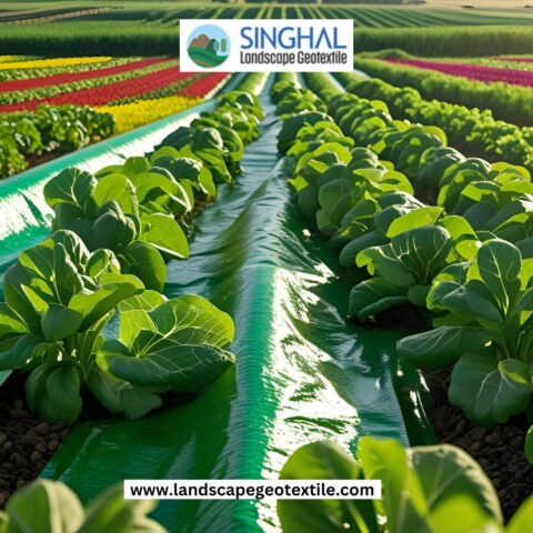 What is better in landscape fabric vs weed barrier for long-term use?