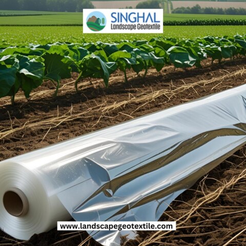 How can I find reliable biodegradable mulch film manufacturers?