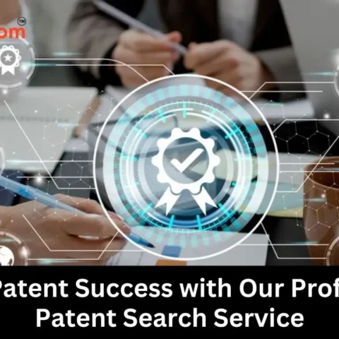 Ensure Patent Success with Our Professional Patent Search Service