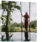 Dream Holidays Kerala