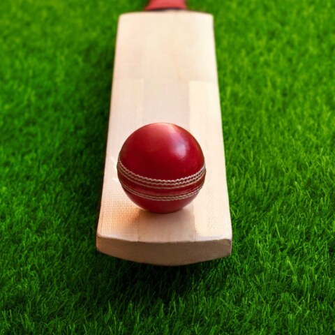 How do I Choose the Right Cricket Bat in Australia?