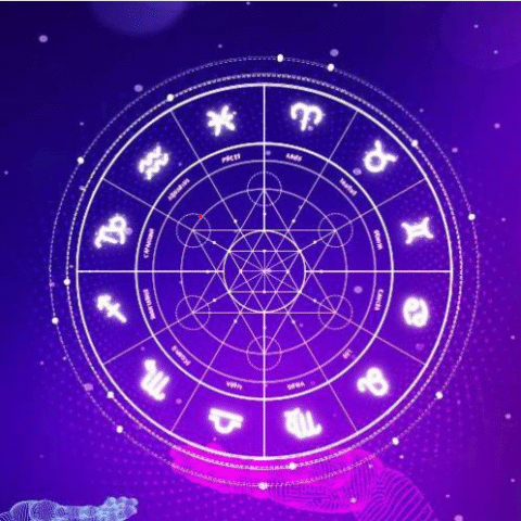 How can an Astrologer For Business help you achieve success and growth in your professional life?