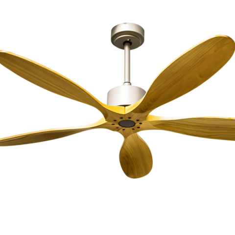 Best Aesthetic and Elegant Designer Silent Ceiling Fan Guide