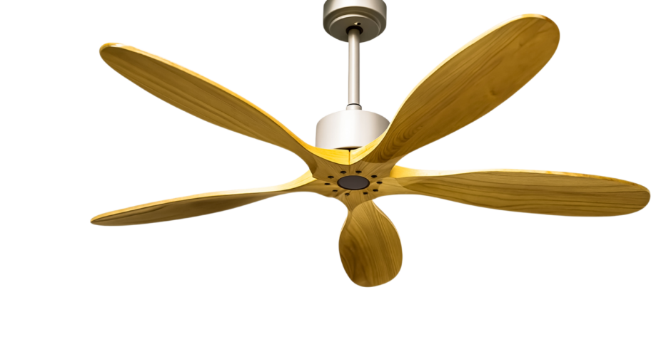Best Aesthetic and Elegant Designer Silent Ceiling Fan Guide